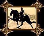 TENNESSEE WALKING HORSE- SPIRIT OF MIDNIGHT